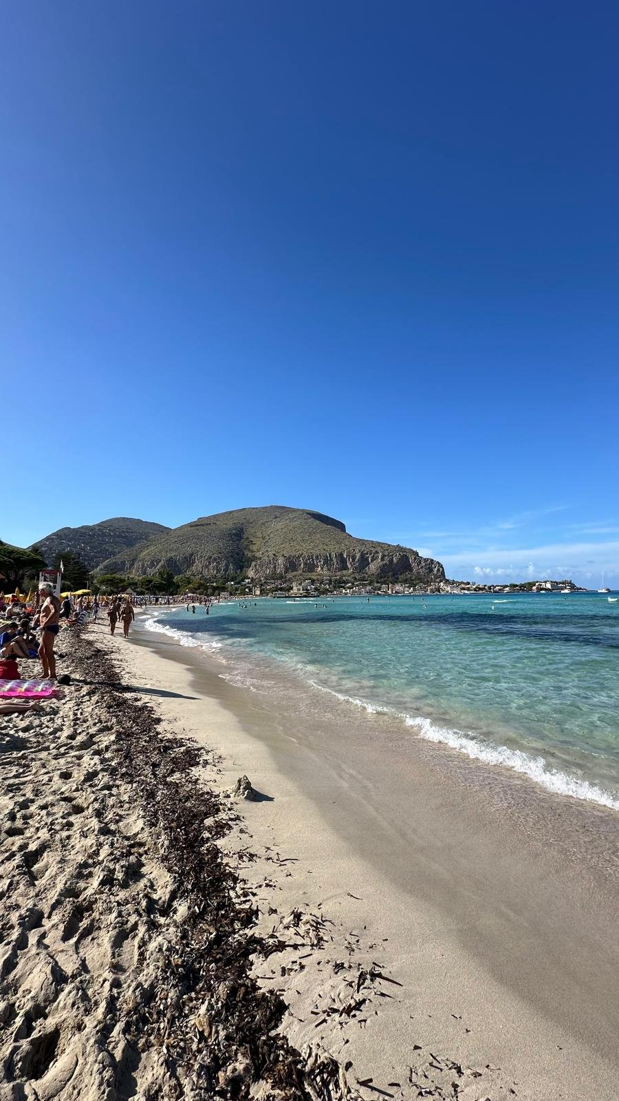 mONDELLO