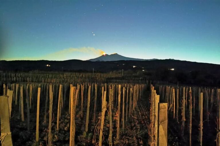 Cooking class sull’Etna con degustazione di vini a Linguaglossa