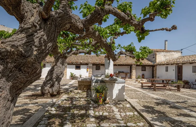Visita in cantina ad Alcamo con degustazione di 4 vini e light lunch