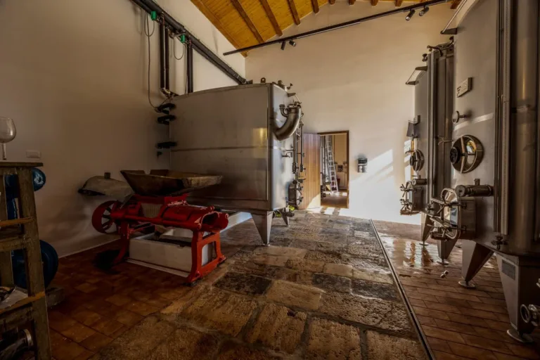 Visita in cantina ad Alcamo con degustazione di 4 vini e light lunch
