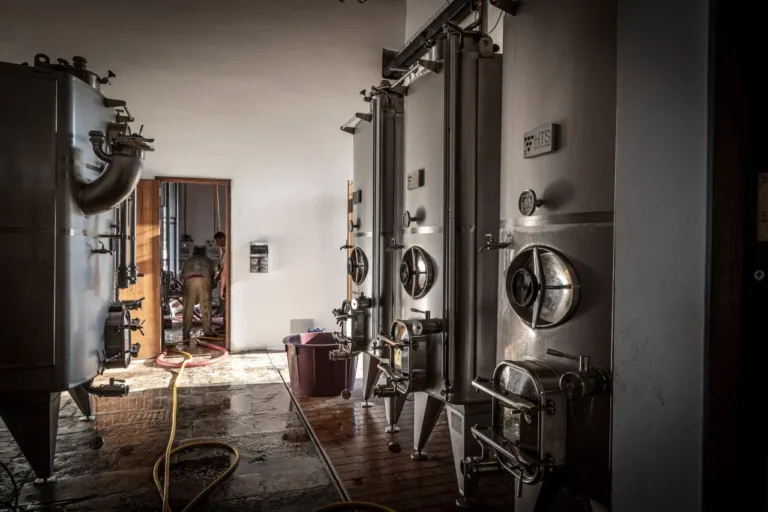 Visita in cantina ad Alcamo con degustazione di 4 vini e light lunch