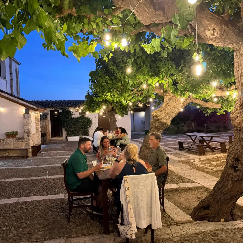 Esperienza dal vigneto alla tavola ad Alcamo con pranzo o cena e degustazione di vini