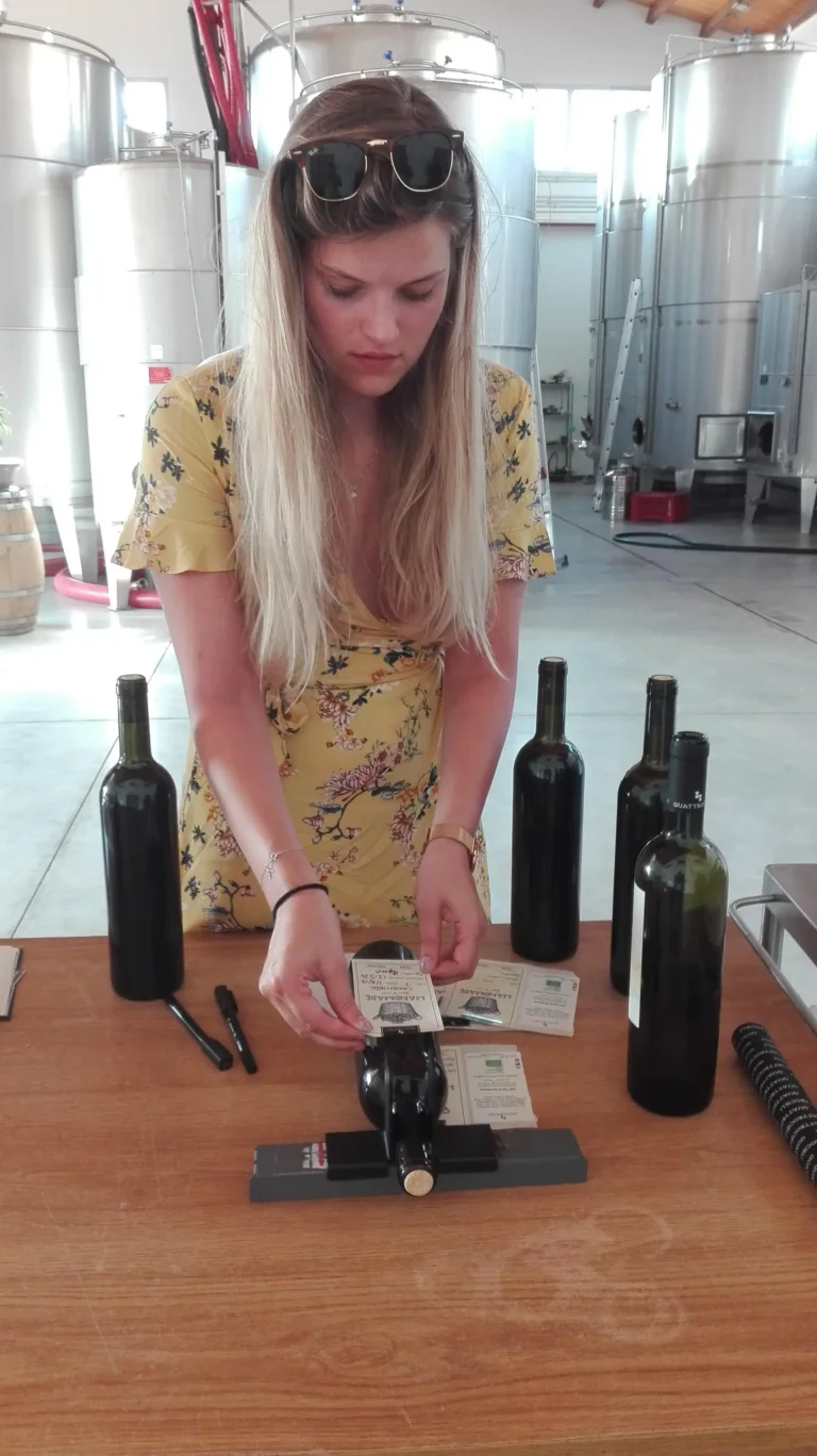 Degustazione di vini biologici ad Alcamo con bottiglia personalizzata