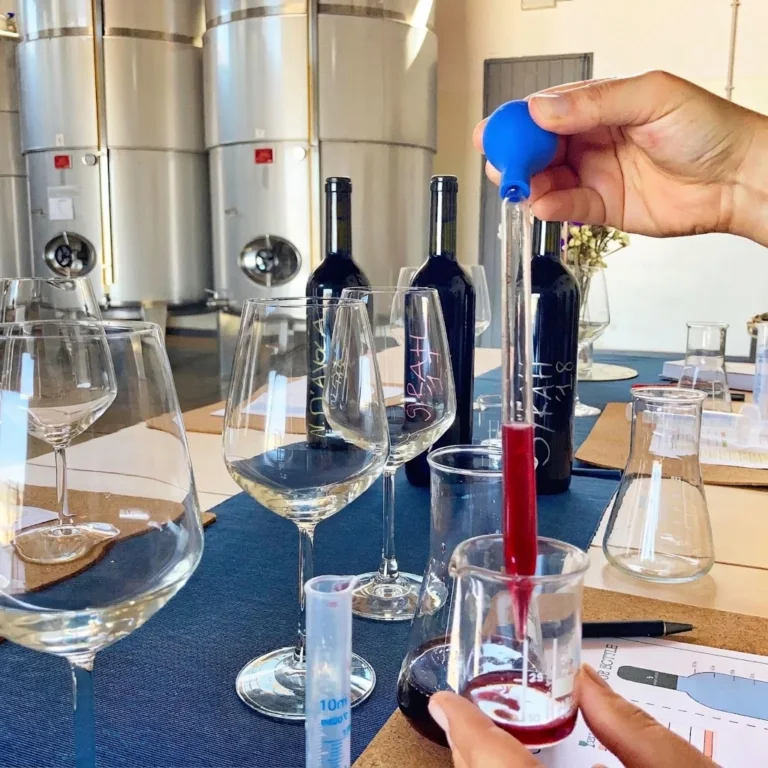 Crea il tuo blend di vino ad Alcamo con degustazione e bottiglia personalizzata