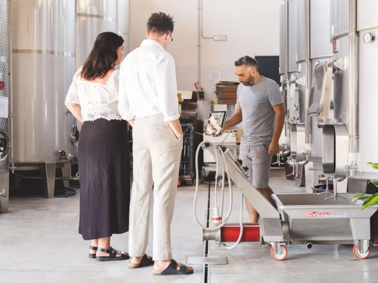 Crea il tuo blend di vino ad Alcamo con degustazione e bottiglia personalizzata