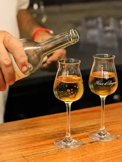 Visita in cantina a Marsala con degustazione di 10 vini e specialità siciliane