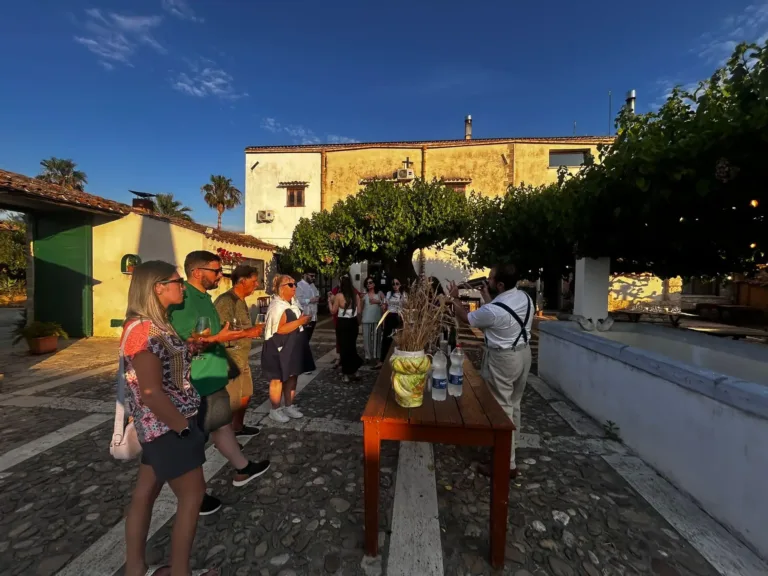 Visita in cantina ad Alcamo con degustazione di 4 vini e light lunch