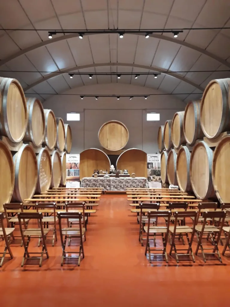 Visita in cantina a Marsala con degustazione di 10 vini e specialità siciliane