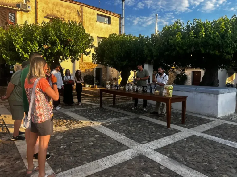 Visita in cantina ad Alcamo con degustazione di 4 vini e light lunch