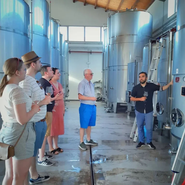 Degustazione di vini biologici ad Alcamo con bottiglia personalizzata